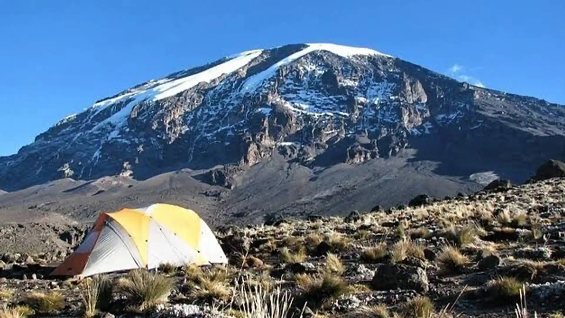 Best Kilimanjaro tour operator Tanzania - Expert guides on Mount Kilimanjaro