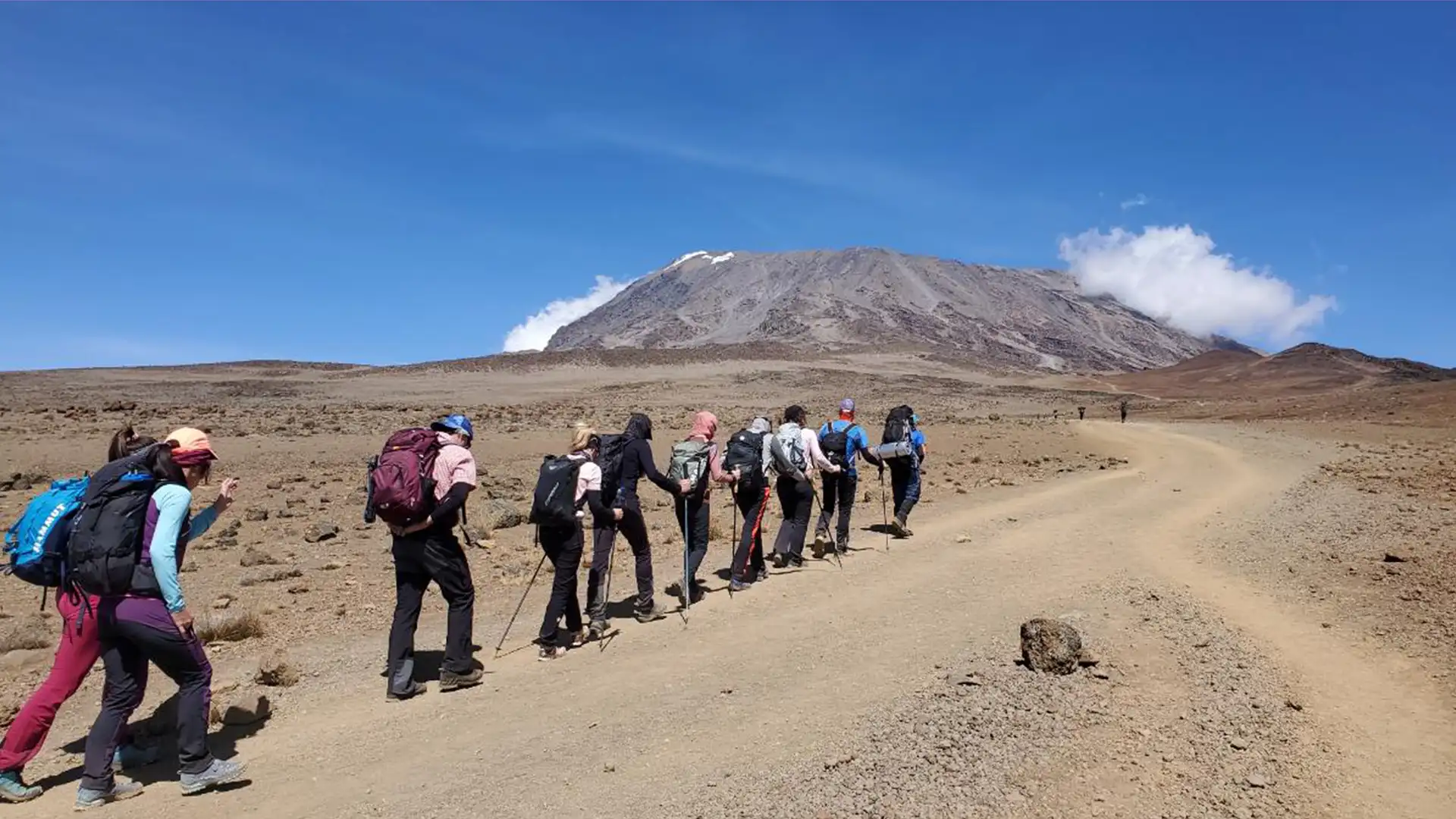 Last minute Kilimanjaro climb from Arusha - Spontaneous summit adventure