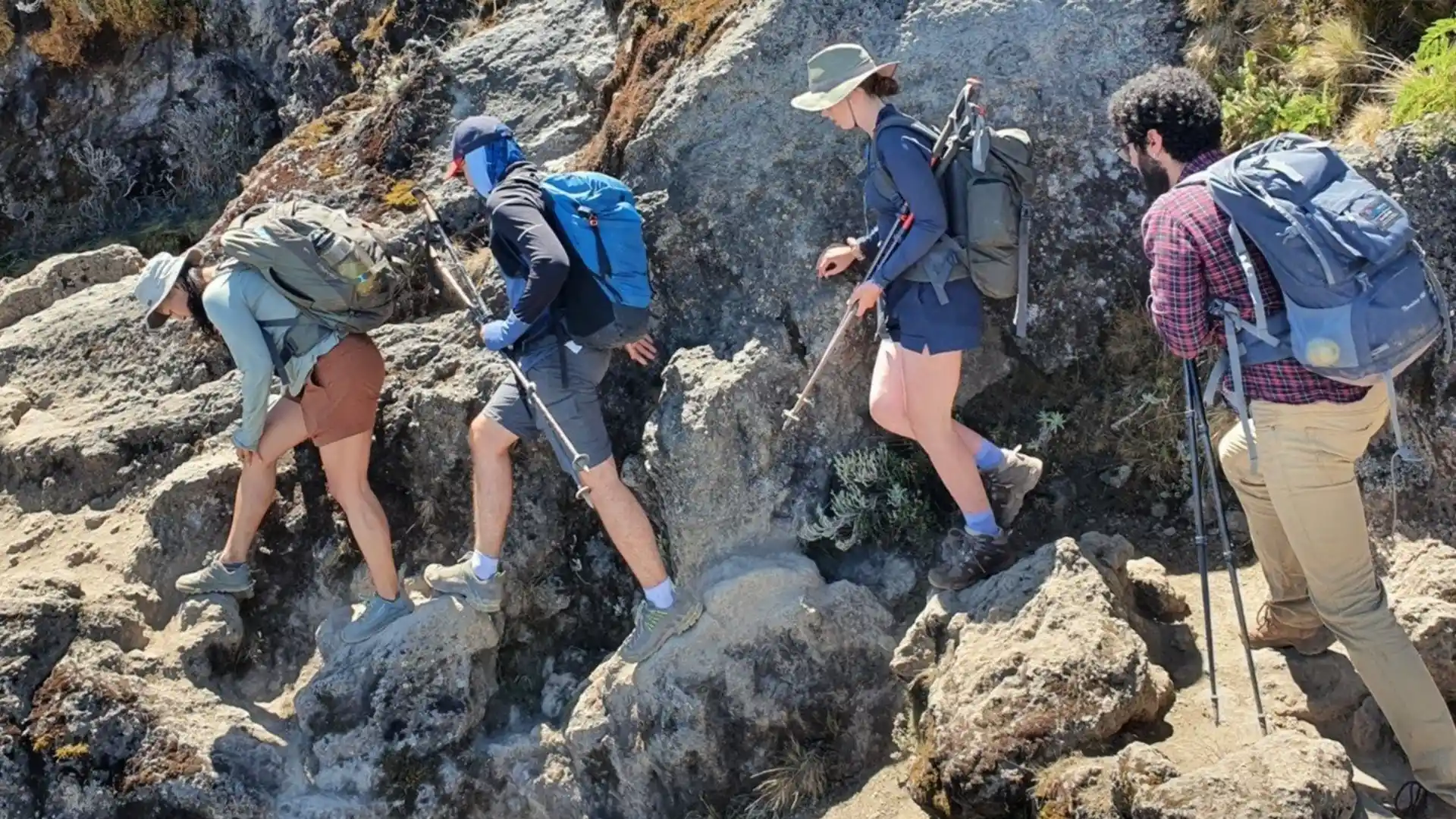 Last minute Kilimanjaro climb from Moshi - Spontaneous summit adventure