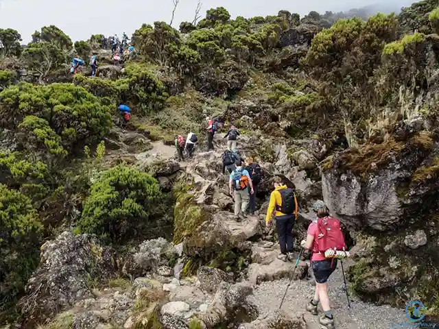 Kilimanjaro National Park - Activities