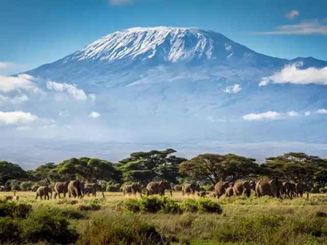 Kilimanjaro National Park - Landscape