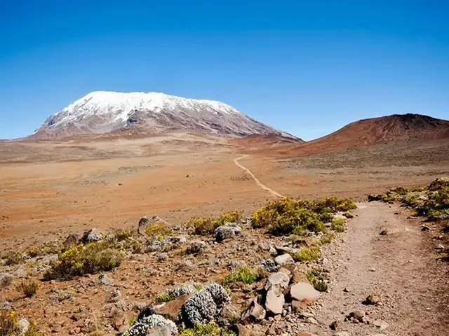 Kilimanjaro National Park - Landscape