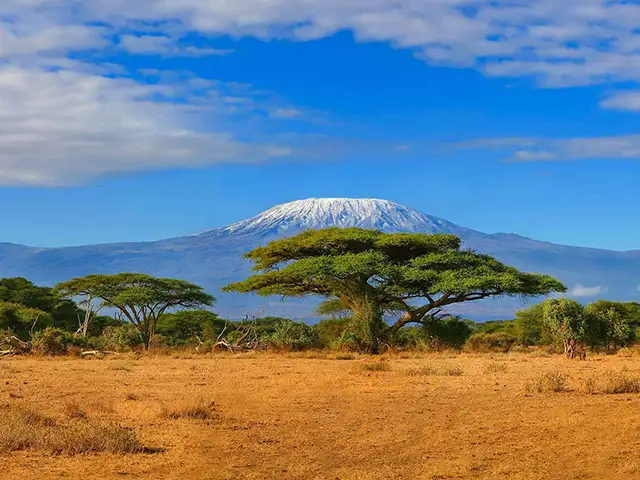 Kilimanjaro National Park - Landscape
