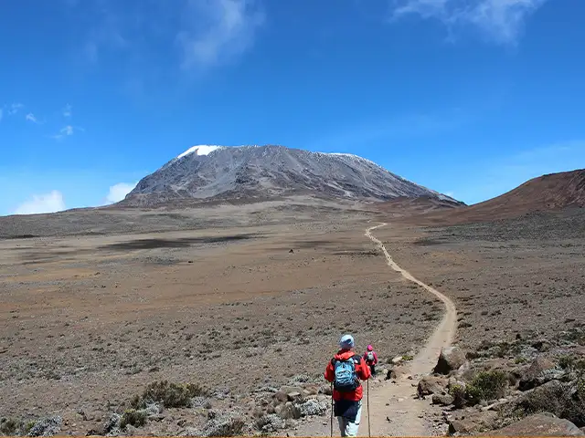 Kilimanjaro National Park - Landscape