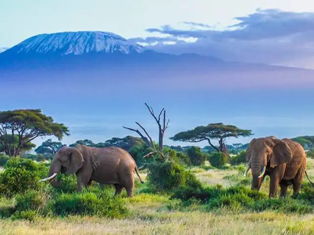 Kilimanjaro National Park - Landscape