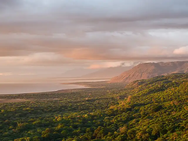 Lake Manyara National Park - Landscape