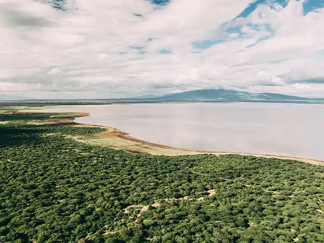 Lake Manyara National Park - Landscape