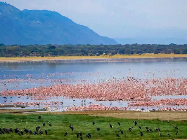 Lake Manyara National Park - Landscape