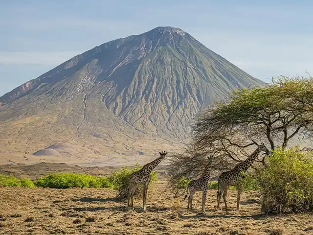 Lake Natron | Oldonyo Lengai - Landscape