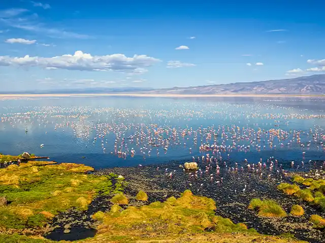 Lake Natron | Oldonyo Lengai - Landscape