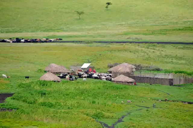 Ngorongoro Crater - Activities
