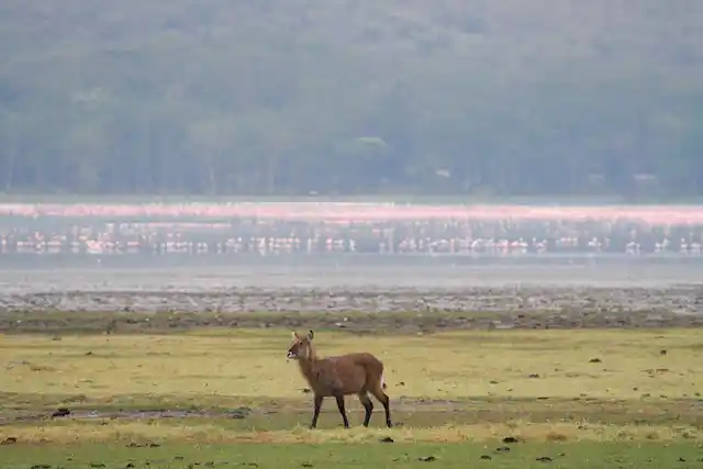 Ngorongoro Crater - Activities