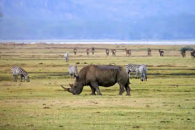 Ngorongoro Crater - Activities