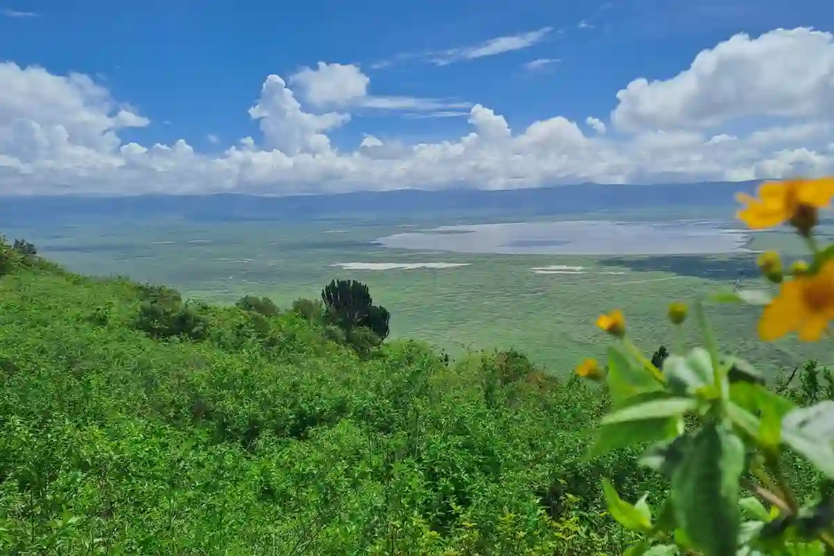 Ngorongoro Crater - Landscape