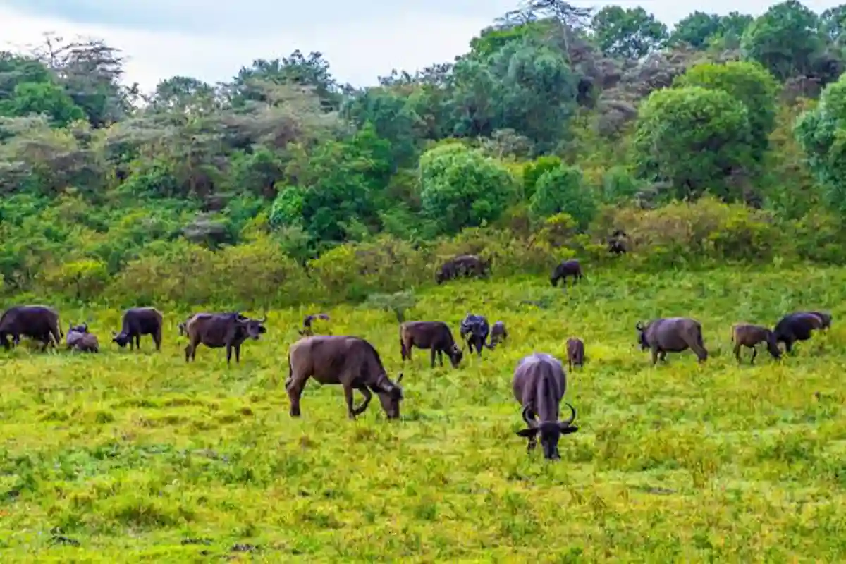4 Days Mid-Range Arusha NP, Lake Eyasi & Serengeti - 4 Day Tanzania Mid-Range Safari 2026