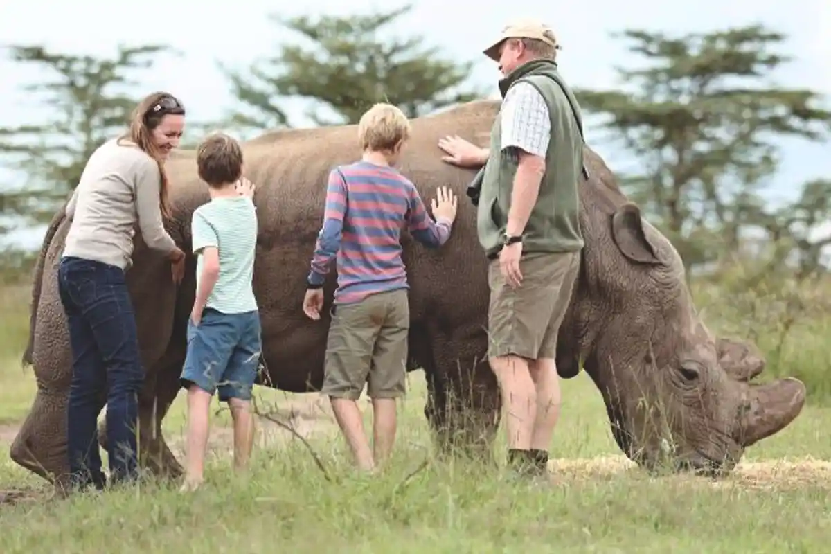 4 Day Mid-Range Family Safari