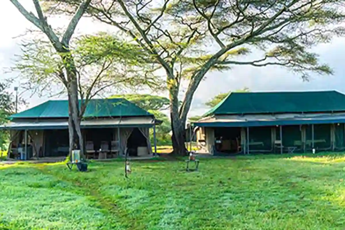 4 Day Mid-Range Lodge Safari