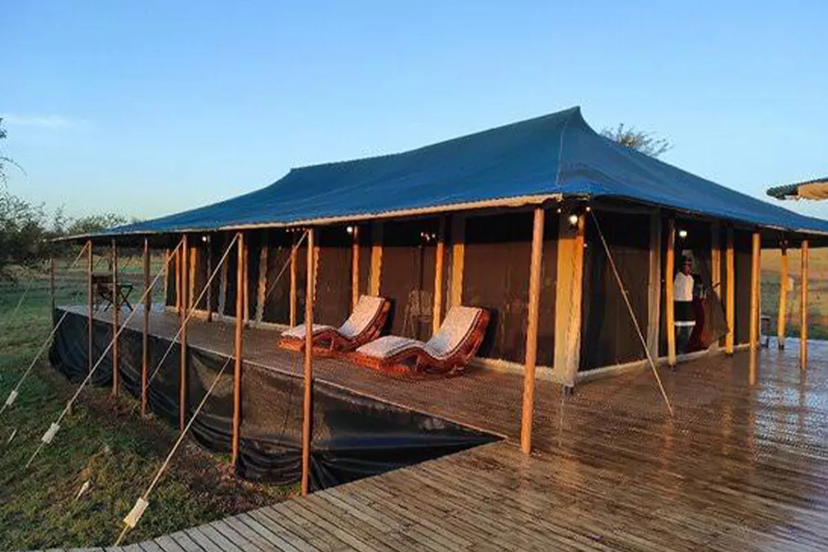4 Days Best Luxury Lodge Safari - 4 Day Tanzania Lodge Safari 2026