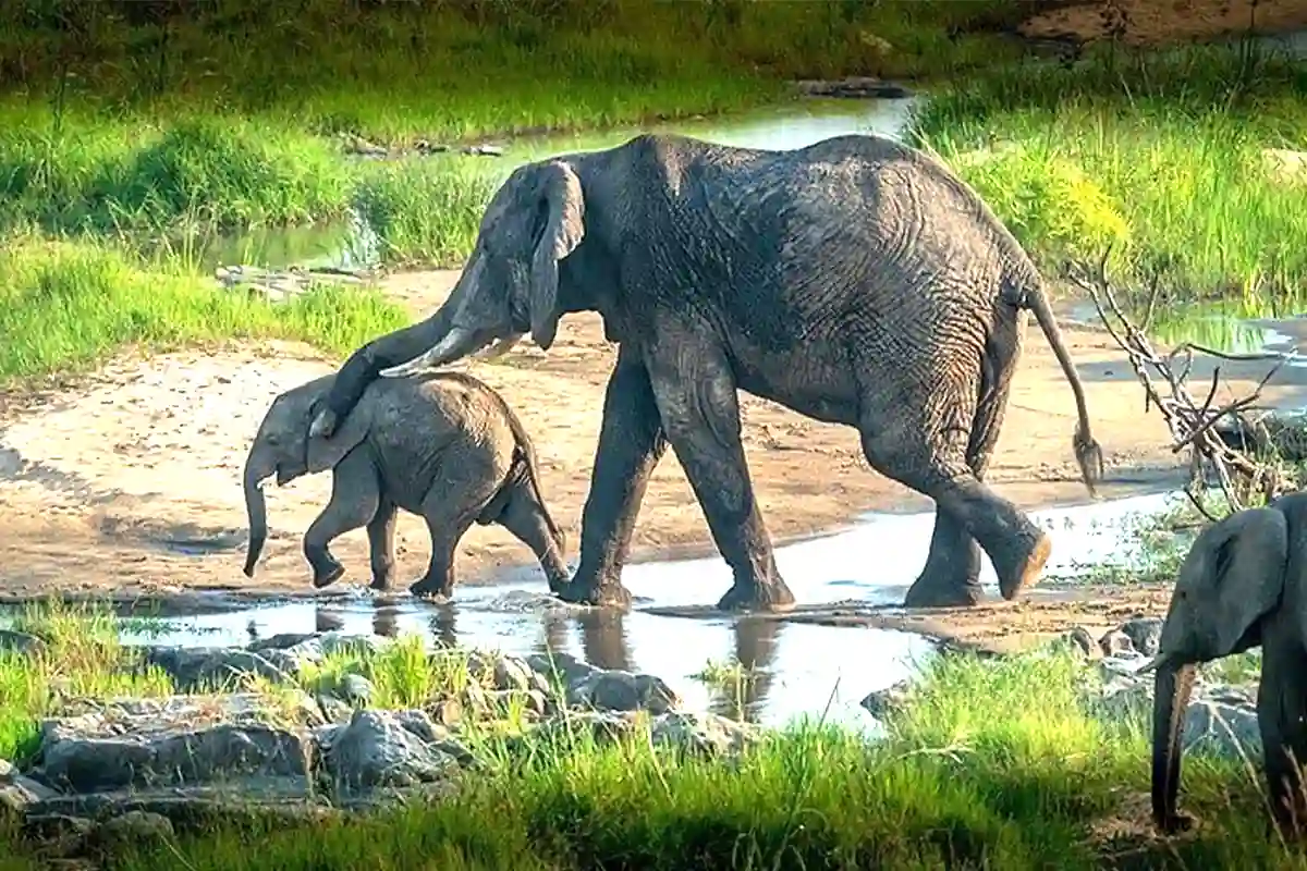 4 Days Budget Camping Joining Safari