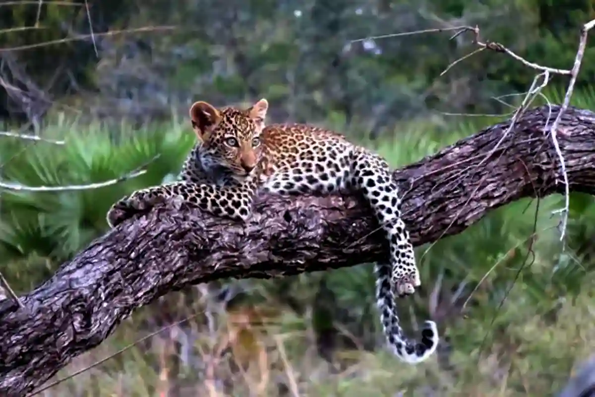 4 Days Budget Camping Joining Safari