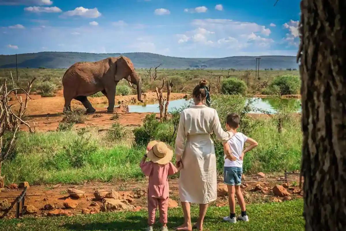 4 Days Budget Family Safari Tanzania