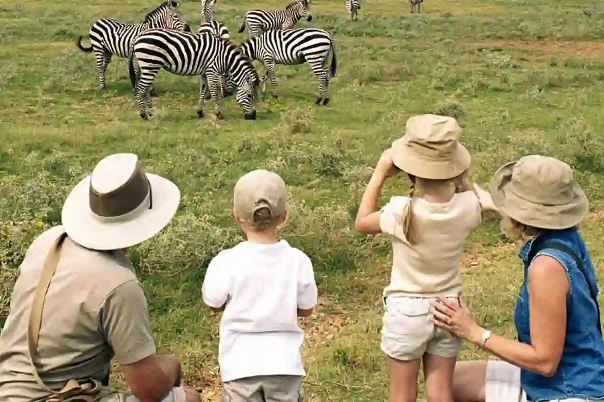4 Days Budget Family Safari Tanzania - 4 Day Tanzania Budget Safari 2026