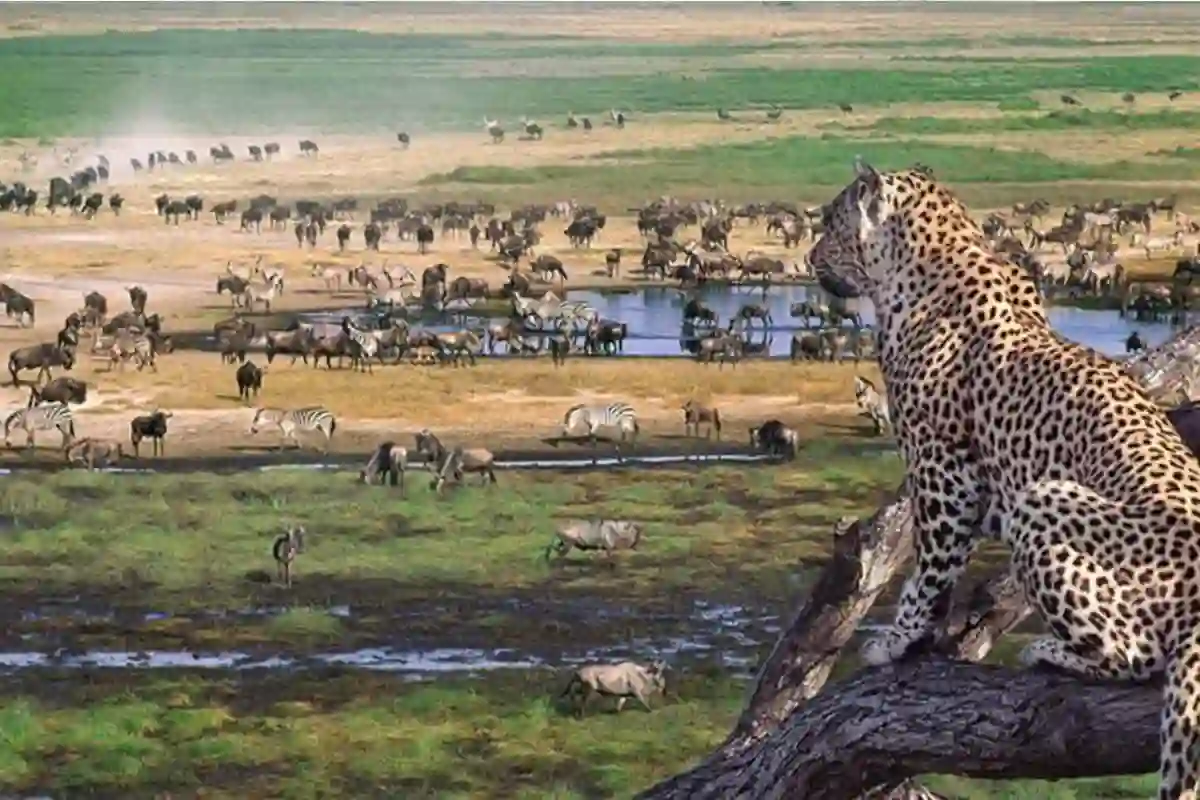 4 Days Budget Serengeti & Ngorongoro Safari