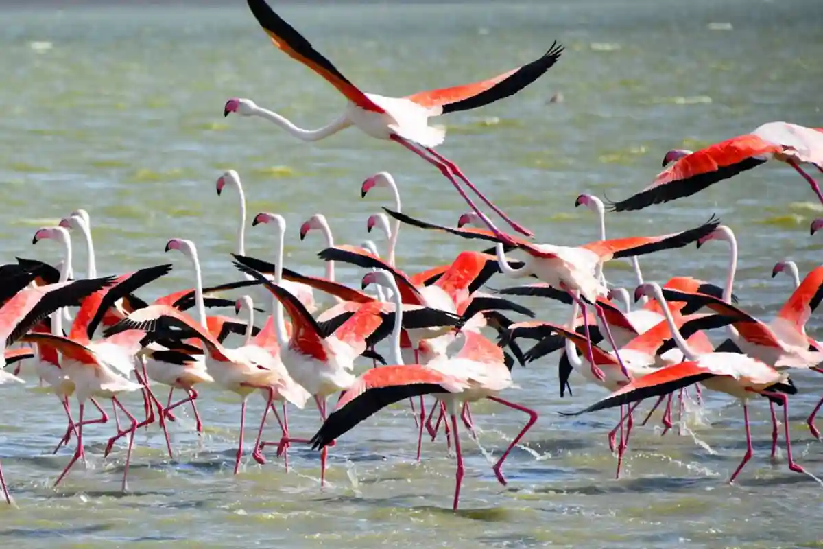 4 Days Budget Serengeti & Ngorongoro Safari