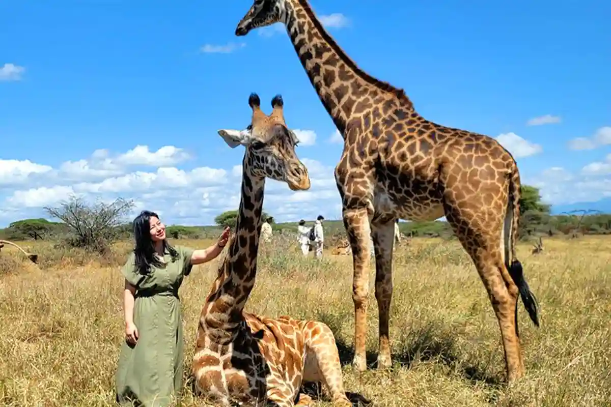 4 Days Family Safari Northern Circuit - 4 Day Tanzania Family Safari 2026