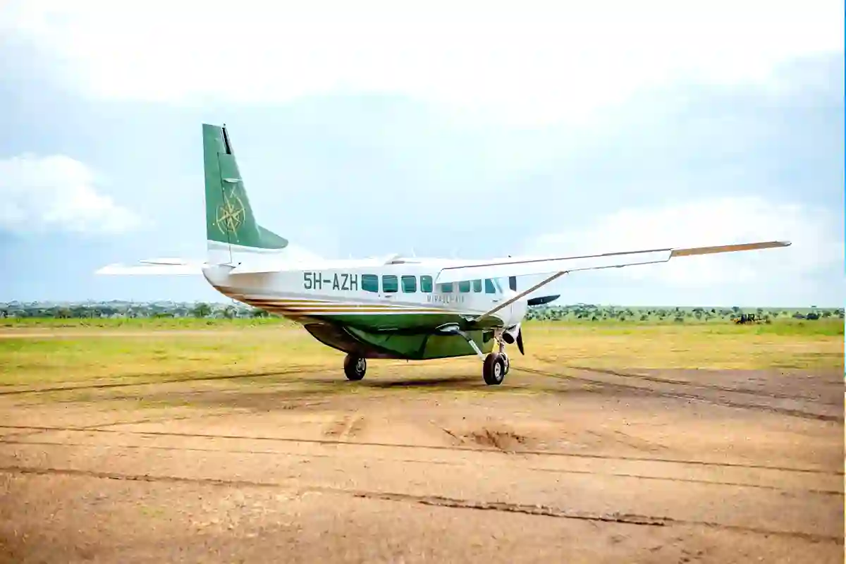 Fly-in Migration Safari