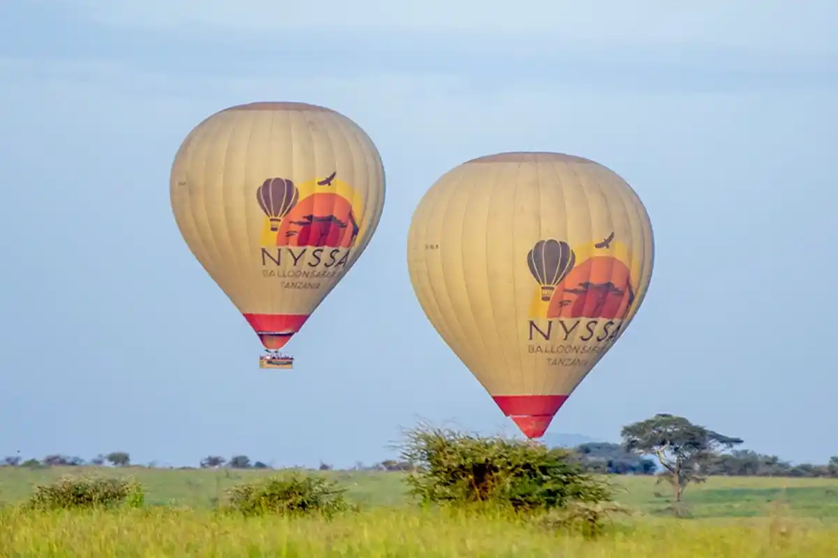 Hot-air Balloon Safari for Family