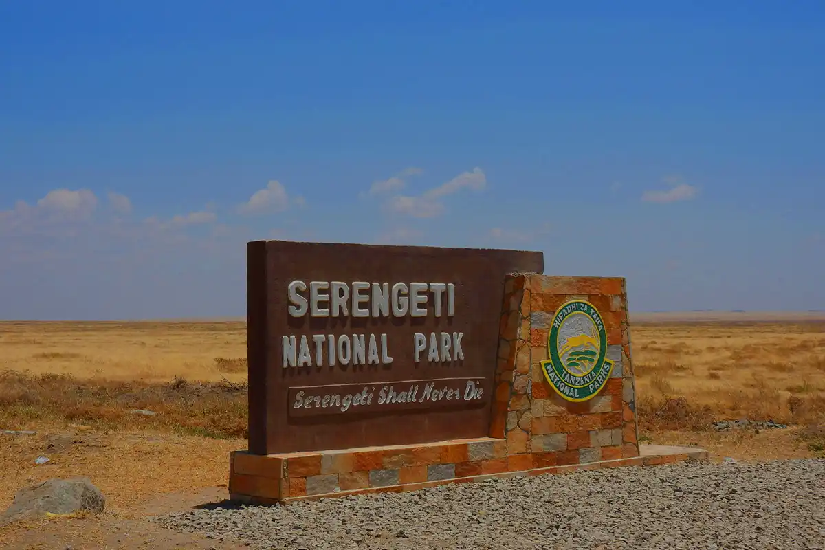 4 Days Luxury Safari Serengeti
