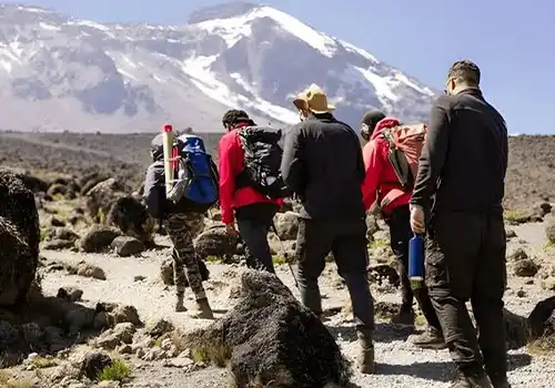 Affordable Kilimanjaro Climb - 4 Days Kilimanjaro Trekking Marangu Route - Affordable Kilimanjaro Climb 2027