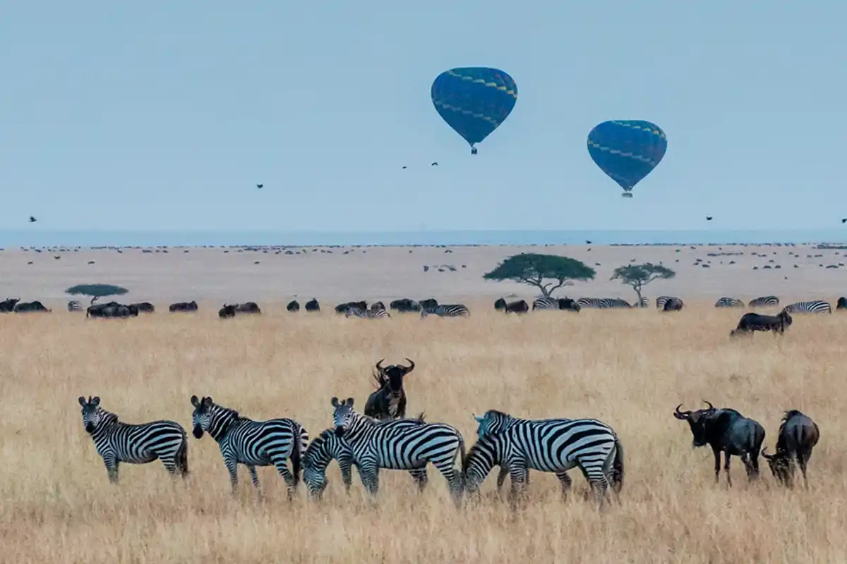 4 Days Serengeti Hot Air Balloon Safari