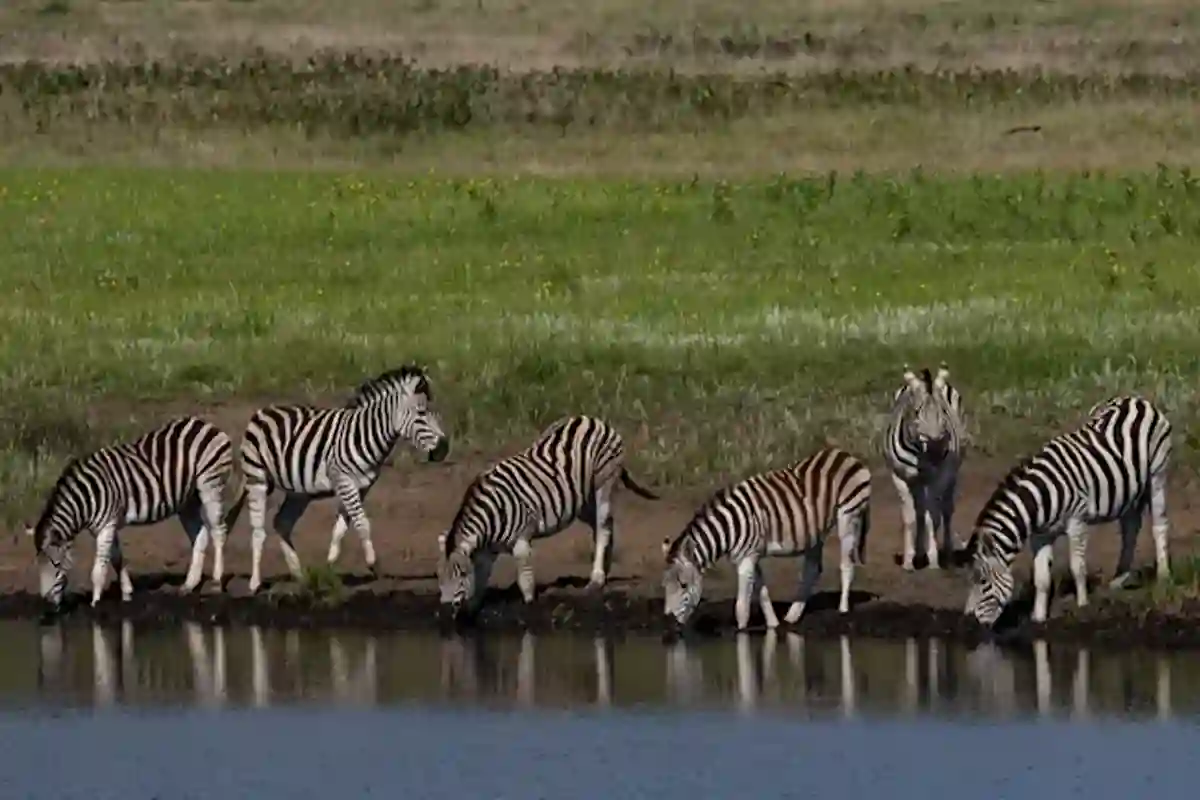 4 Days Serengeti & Ngorongoro Joining Safari