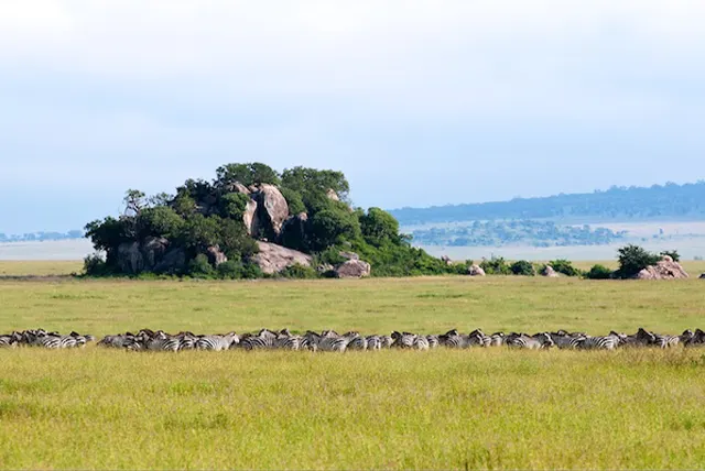 Serengeti National Park - Activities
