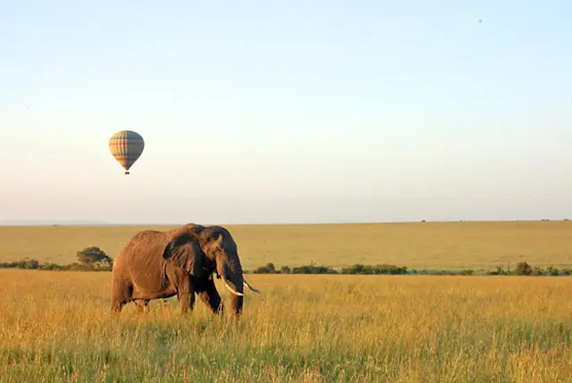 Serengeti National Park - Activities