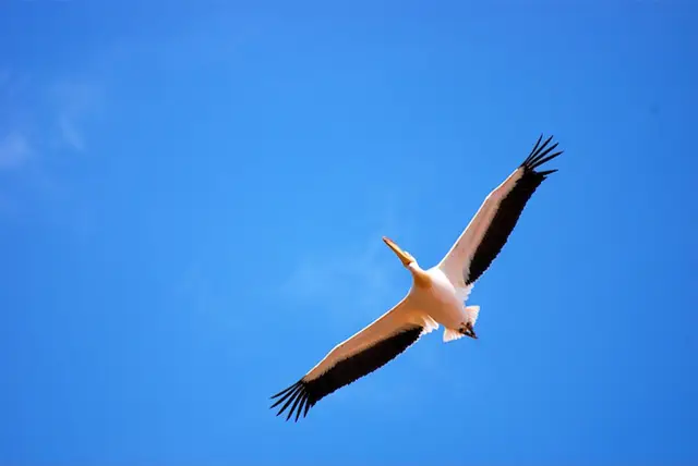 Serengeti National Park - Activities