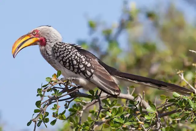 Serengeti National Park - Activities