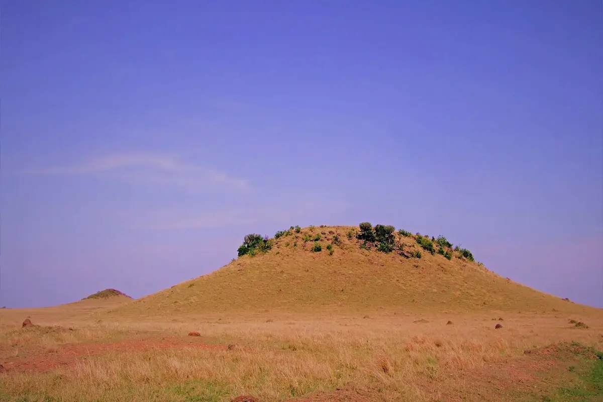 Serengeti National Park - Landscape