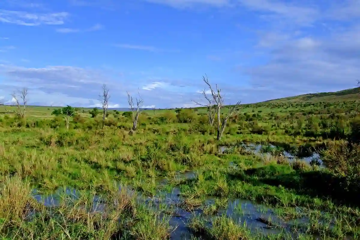 Serengeti National Park - Landscape