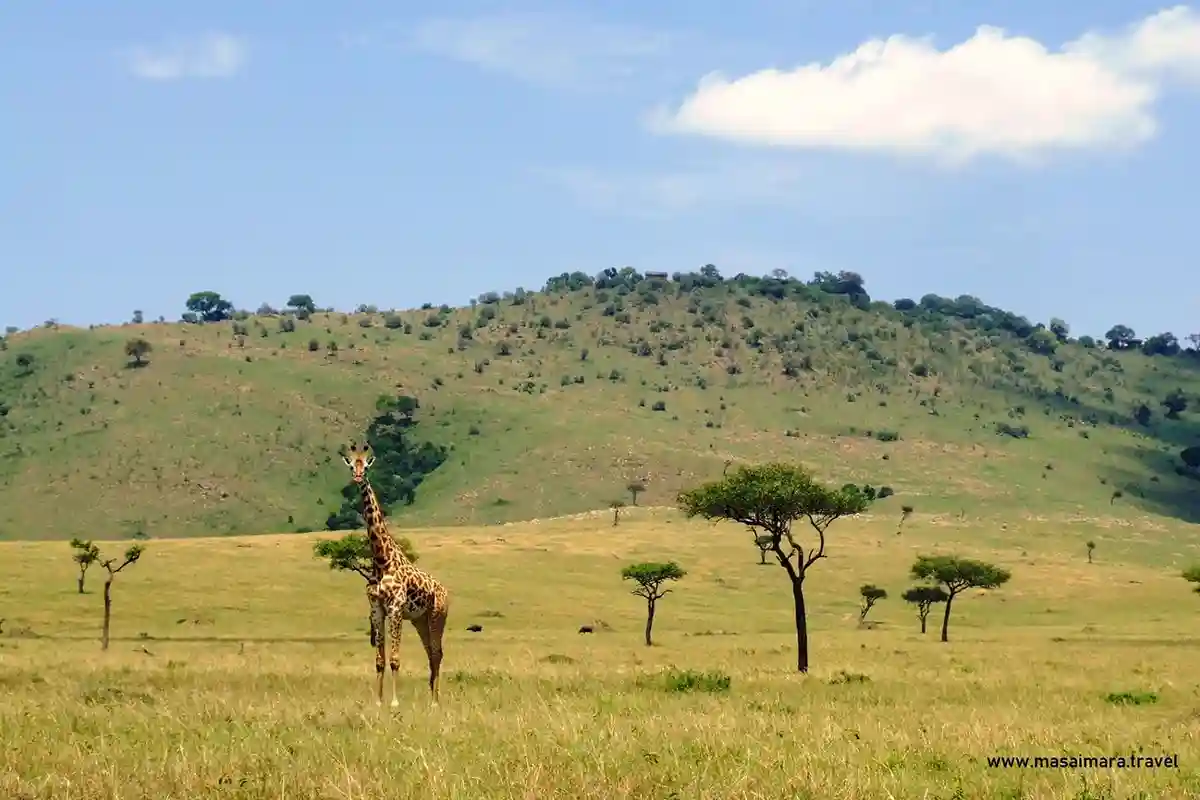 Serengeti National Park - Landscape
