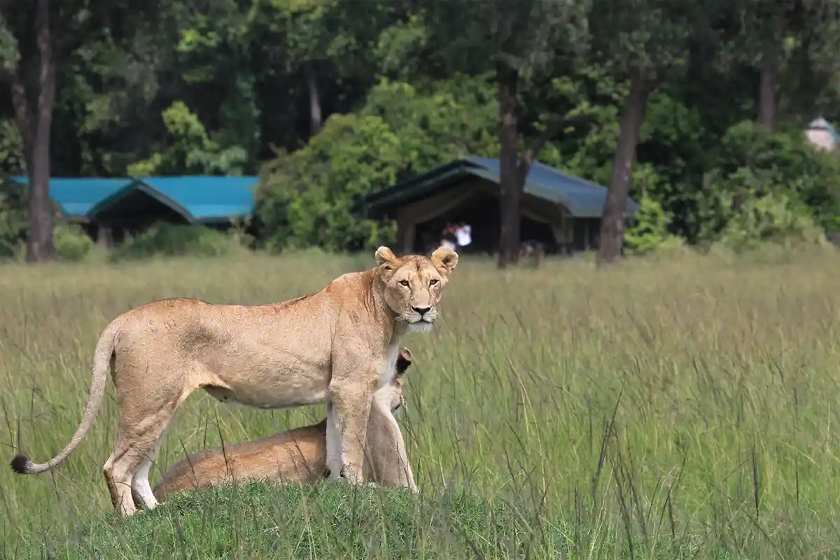 Serengeti National Park