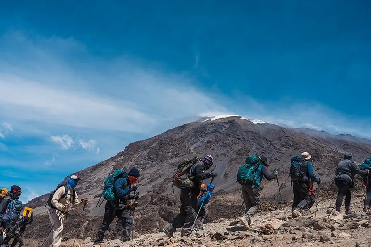 Uncover 4 Days Tanzania Trekking & Wildlife Safari Adventure