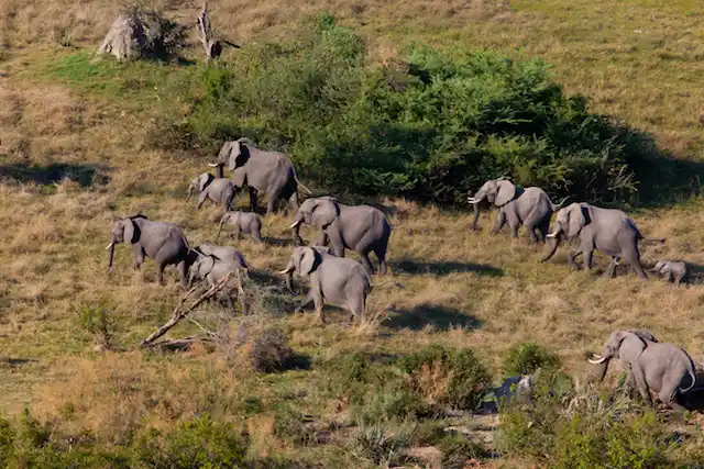 Tarangire National Park - Activities