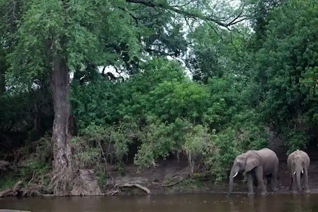 Tarangire National Park - Activities