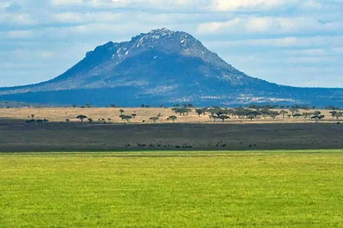 Tarangire National Park - Landscape