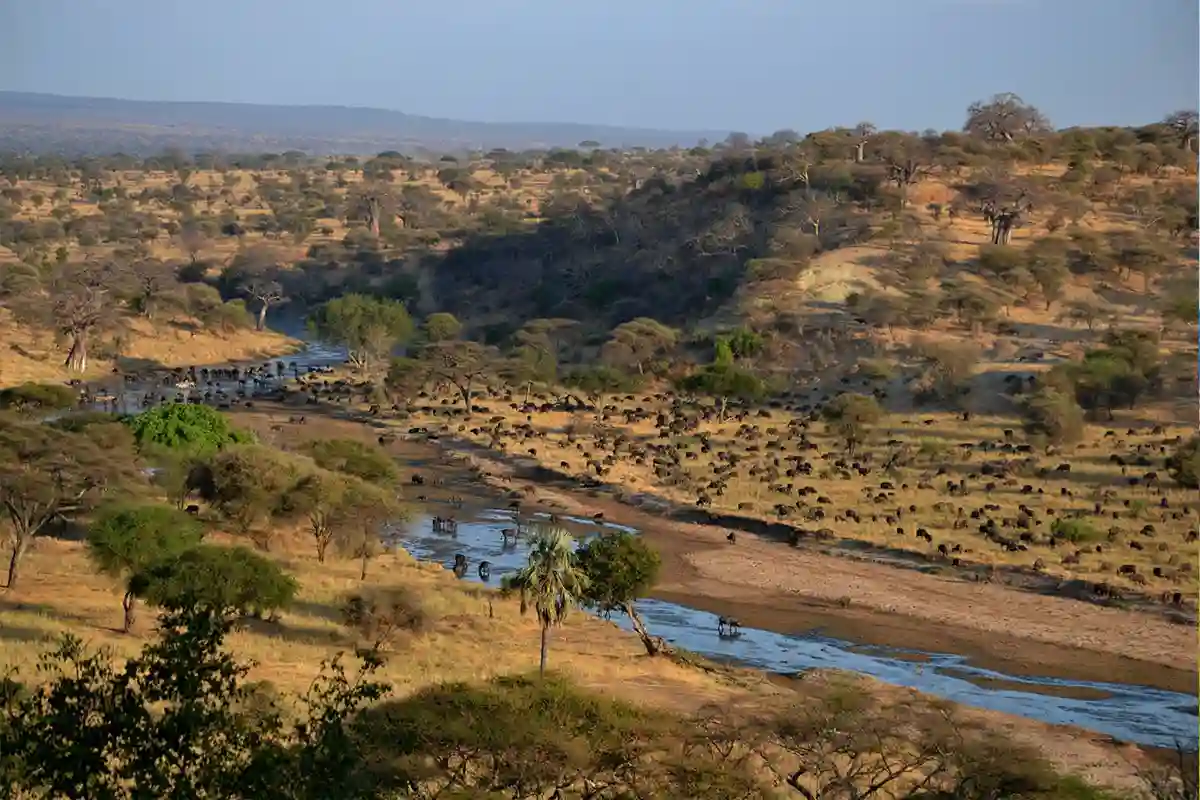 Tarangire National Park - Landscape