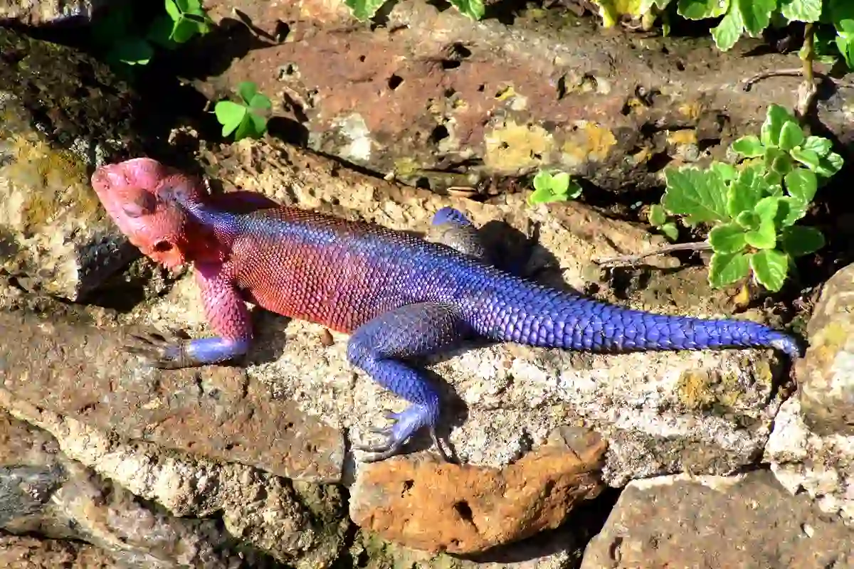 Tarangire National Park