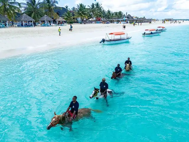Zanzibar - Activities